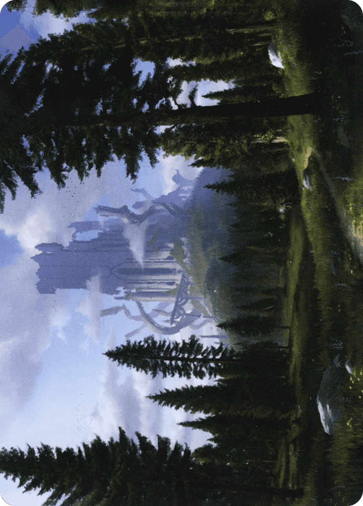 Forest