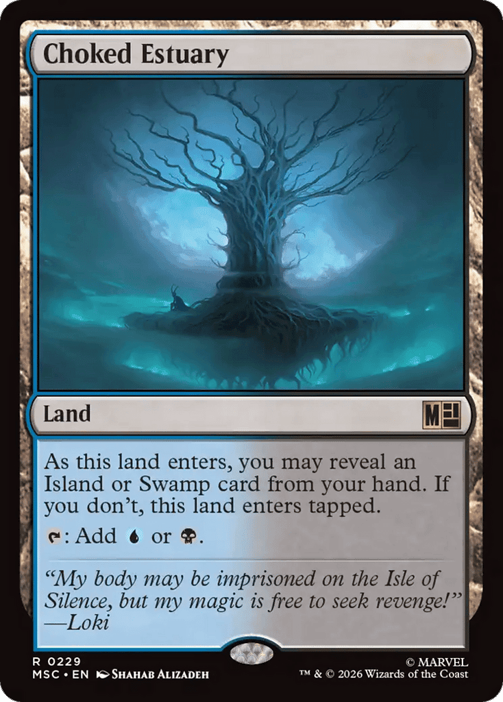 Choked Estuary