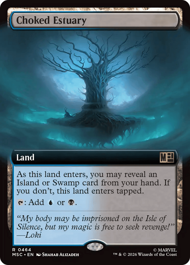 Choked Estuary