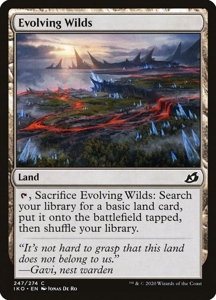 Evolving Wilds