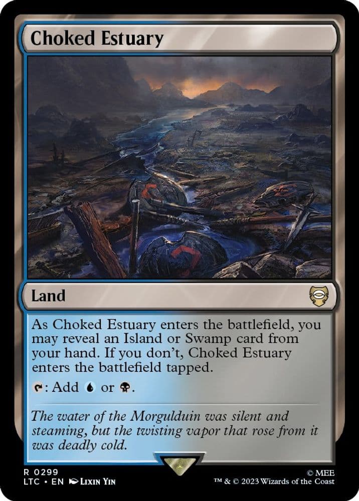 Choked Estuary