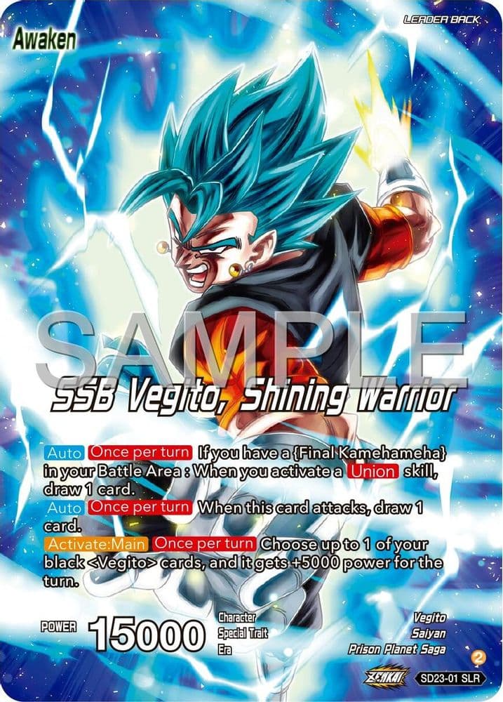 Son Goku & Vegeta // SSB Vegito, Shining Warrior