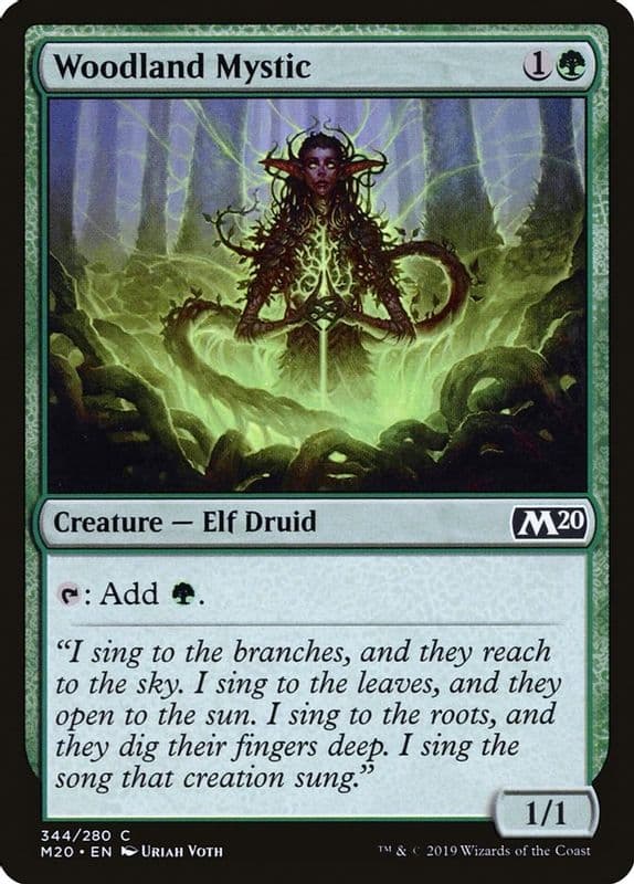 Woodland Mystic