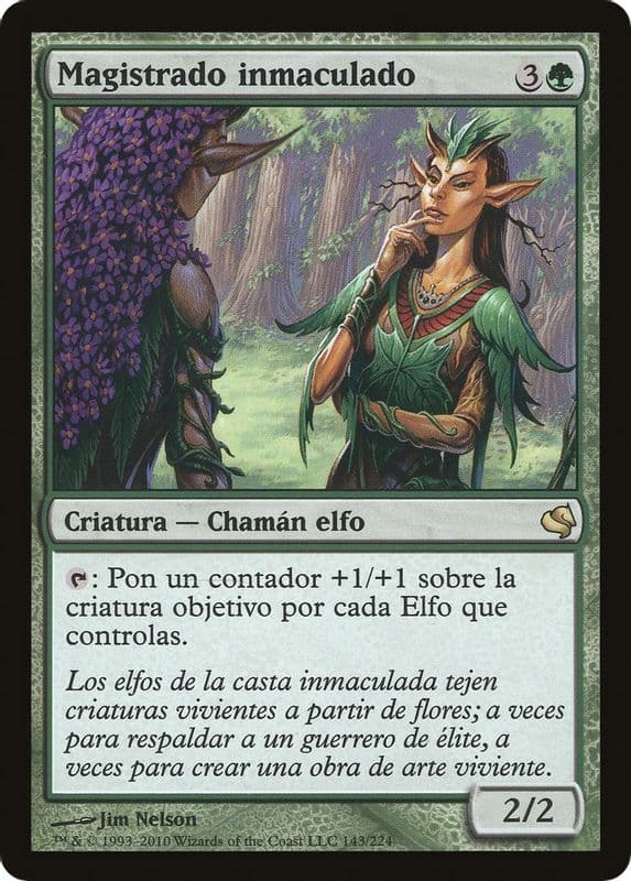 Immaculate Magistrate (Spanish) - "Magistrado inmaculado"