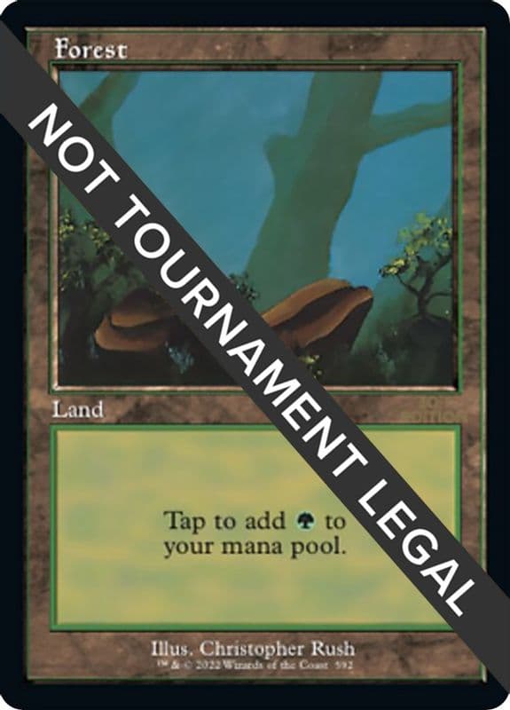 Forest (Retro Frame)
