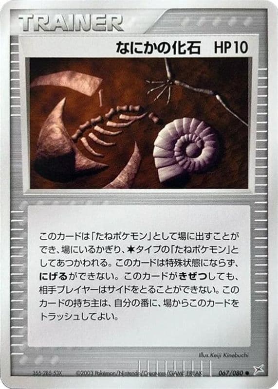 Mysterious Fossil
