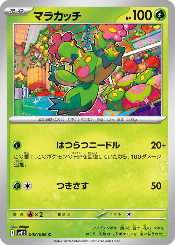 Maractus