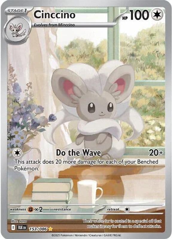 Cinccino