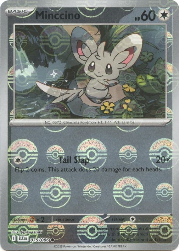 Cinccino (Poke Ball Pattern)