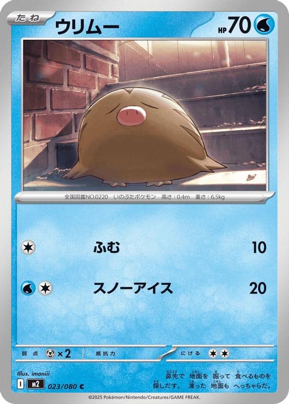 Swinub