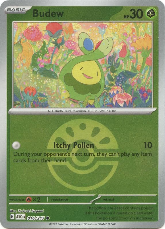 Budew (Friend Ball)