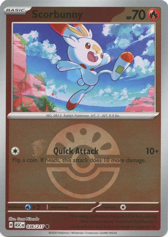 Scorbunny (Friend Ball)
