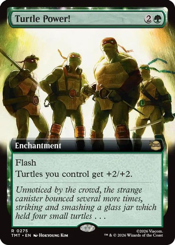 Turtle Power! (Extended Art)