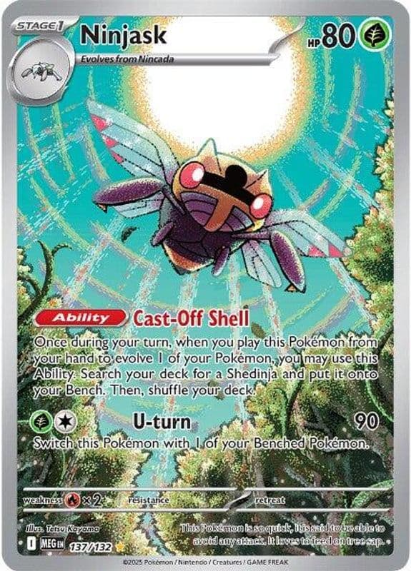 Ninjask