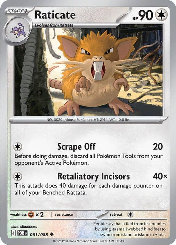 Raticate