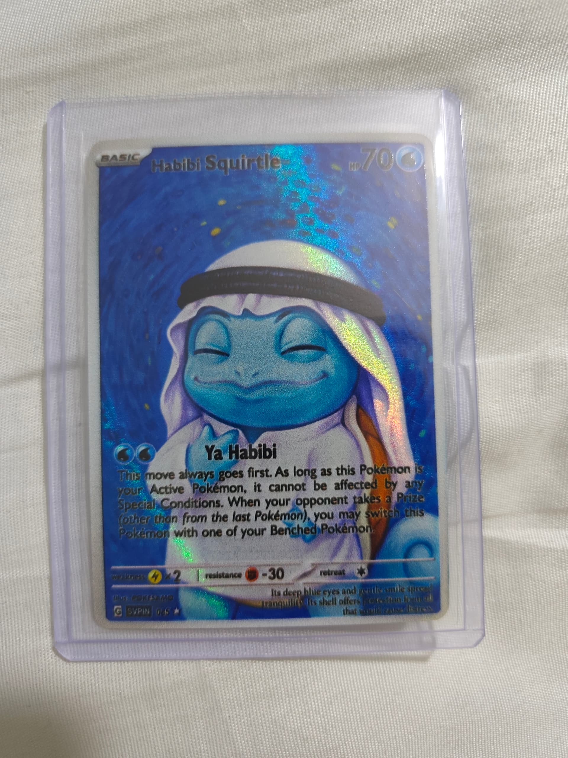 habibi squirtle